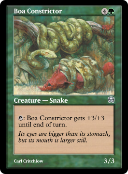 Boa Constrictor