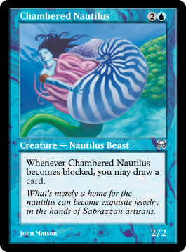 Chambered Nautilus