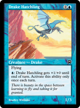 Drake Hatchling